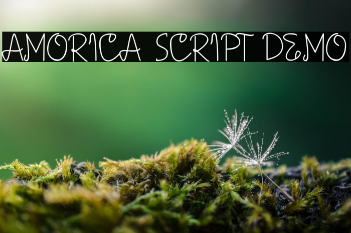 AMORICA SCRIPT DEMO Example 3