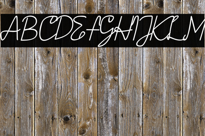 AMORICA SCRIPT Italic Font examples