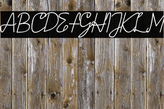 AMORICA SCRIPT Italic Example 1