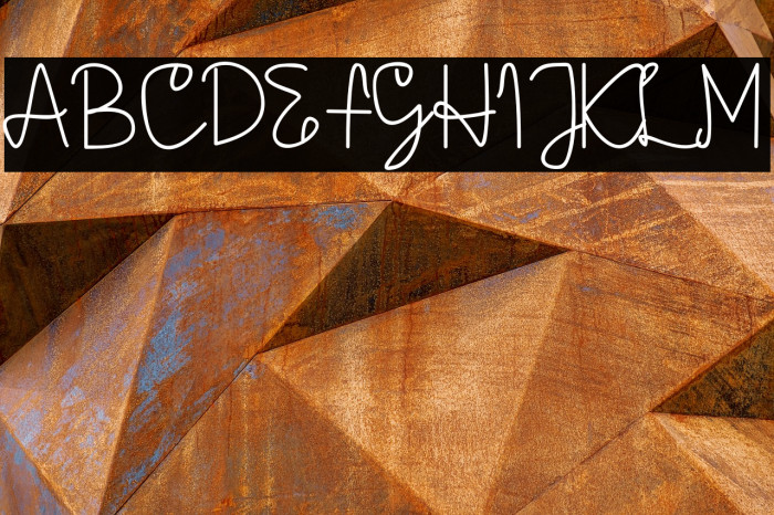 AMORICA SCRIPT Font examples