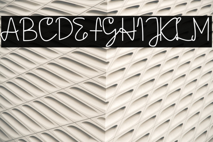 AMORICA SCRIPT Font examples