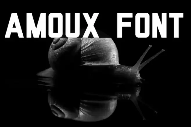 AMOUX Font examples
