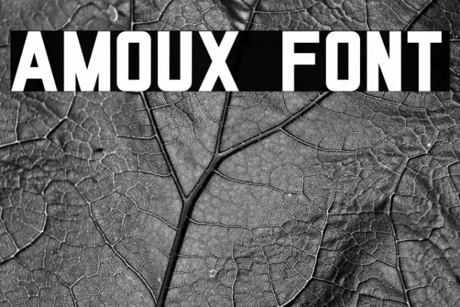 AMOUX Font examples