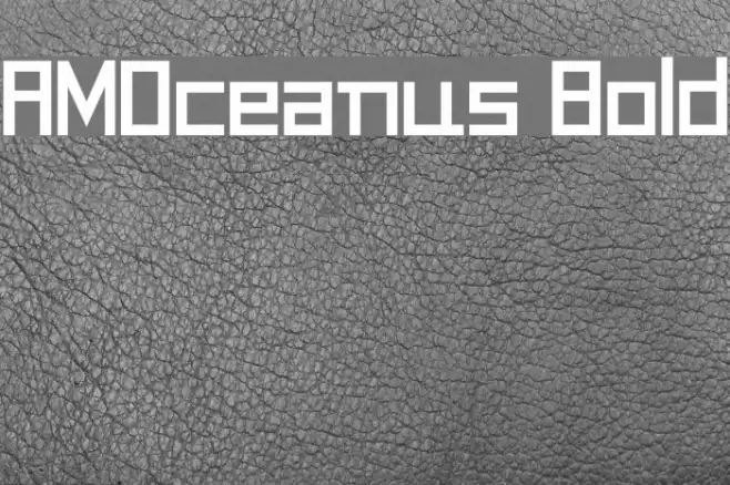 AMOceanus Bold Font examples