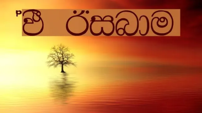AMS Bindu Example 1