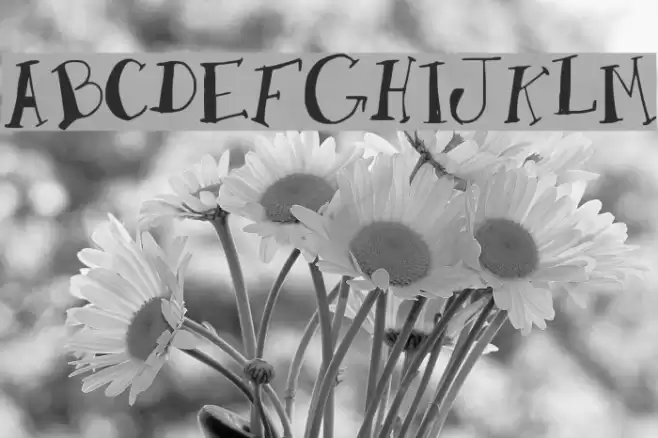 AMToon Schriftart examples