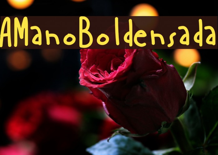 AManoBoldensada Font examples