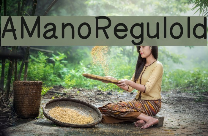 AManoRegulold Font examples