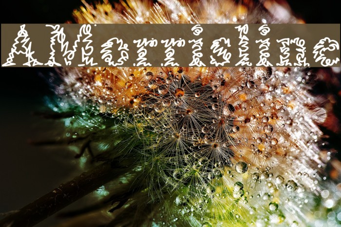 AMorrisline Font examples