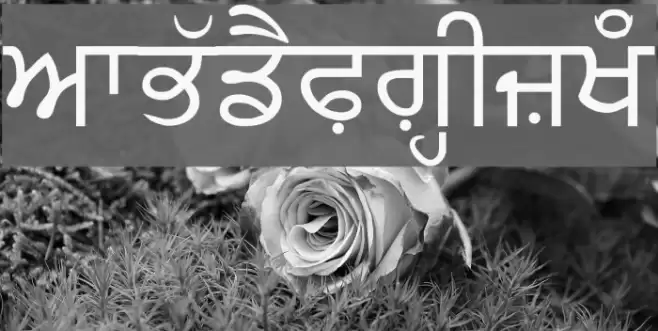 AmSubodh Font examples