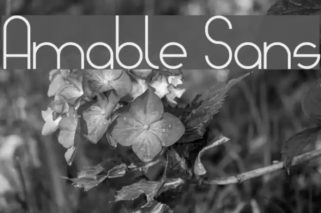 Amable Sans Font examples