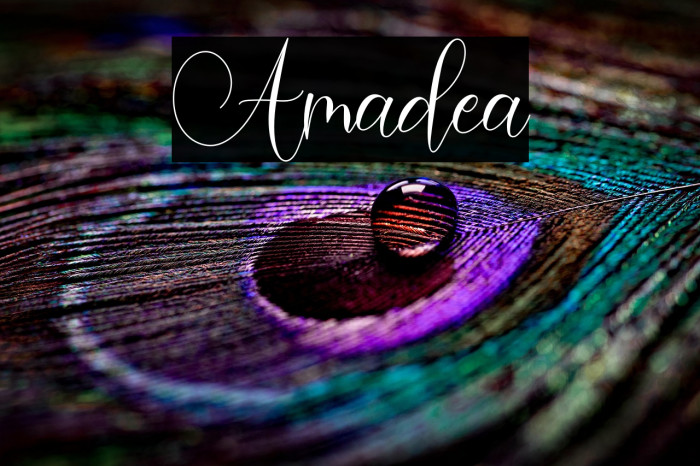Amadea Example 2