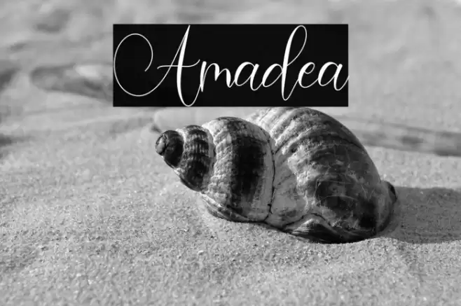 Amadea Font examples