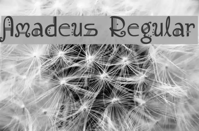 Amadeus Regular Font examples