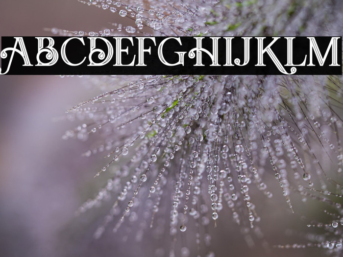 Amadeust Inline Example 1