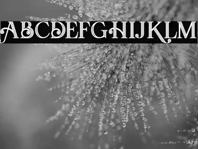 Amadeust Inline Schriftart examples