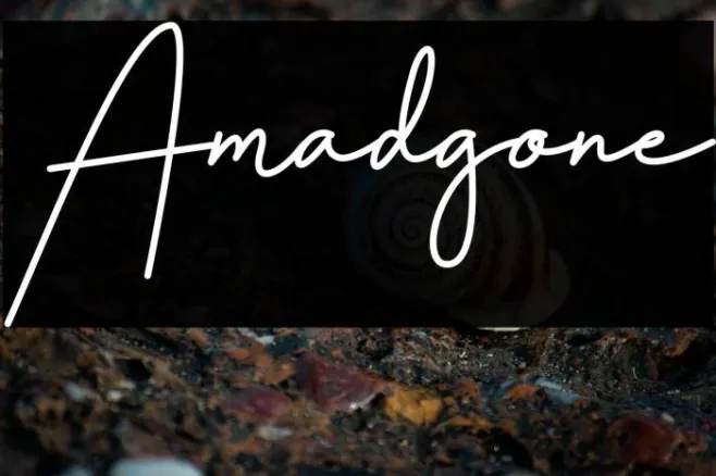 Amadgone Example 1