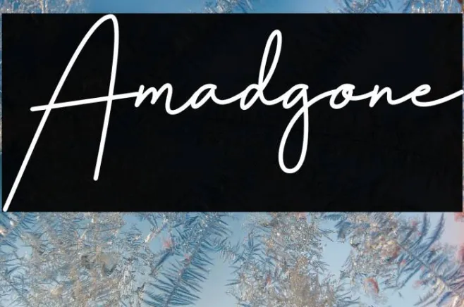 Amadgone Example 2