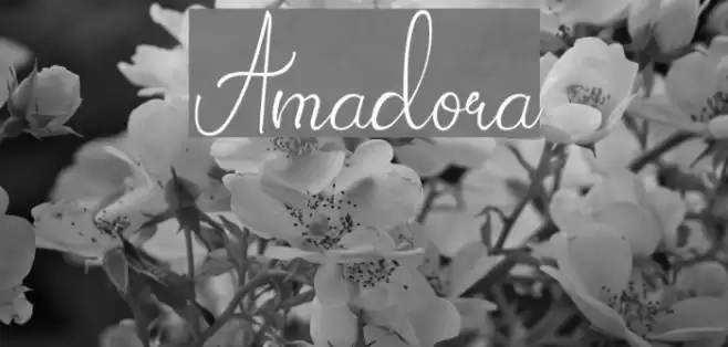 Amadora Font examples