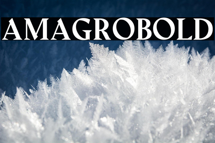 Amagro-bold Example 1