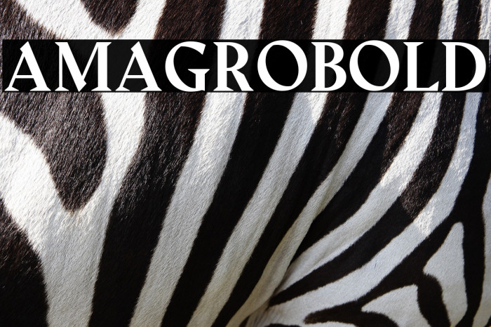 Amagro-bold Example 2