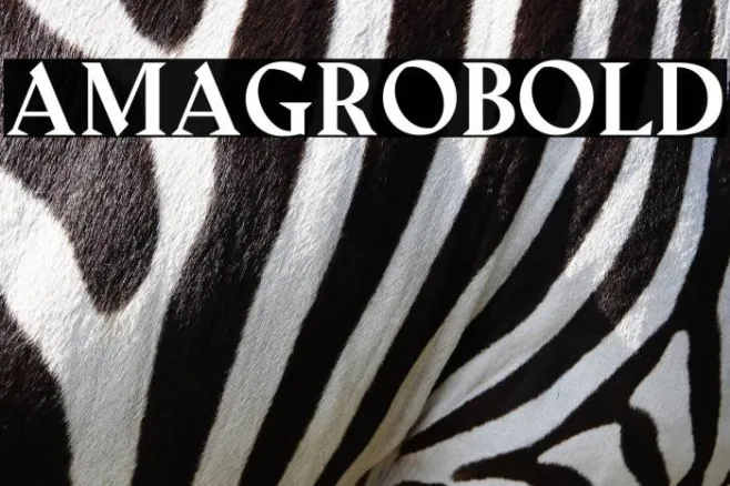 Amagro-bold Example 2