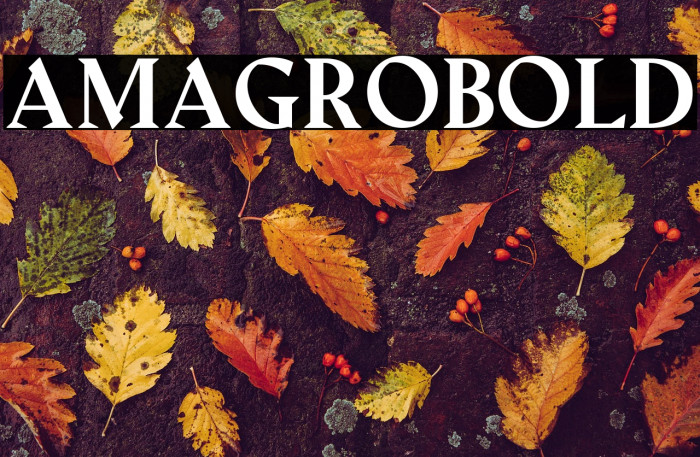 Amagro-bold Example 3