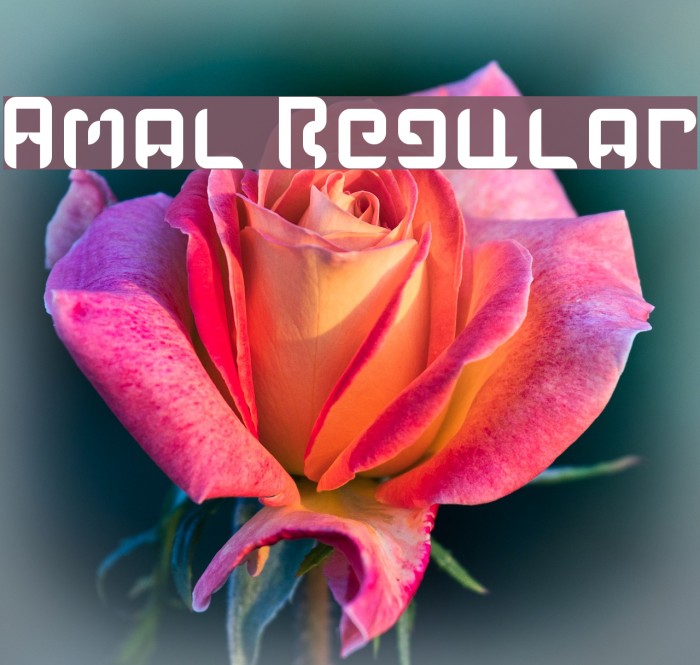 Amal Regular Example 3