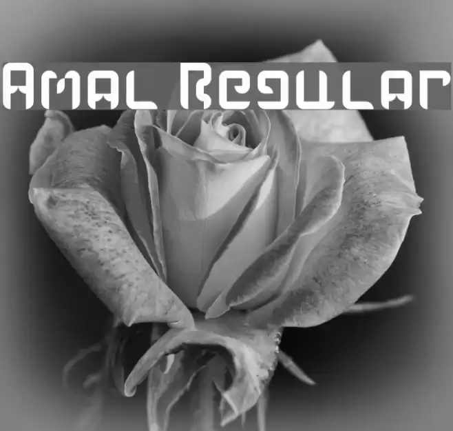 Amal Regular Font examples