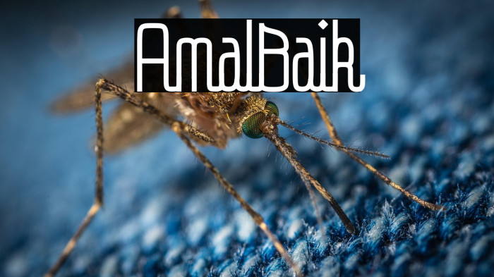 AmalBaik Example 2