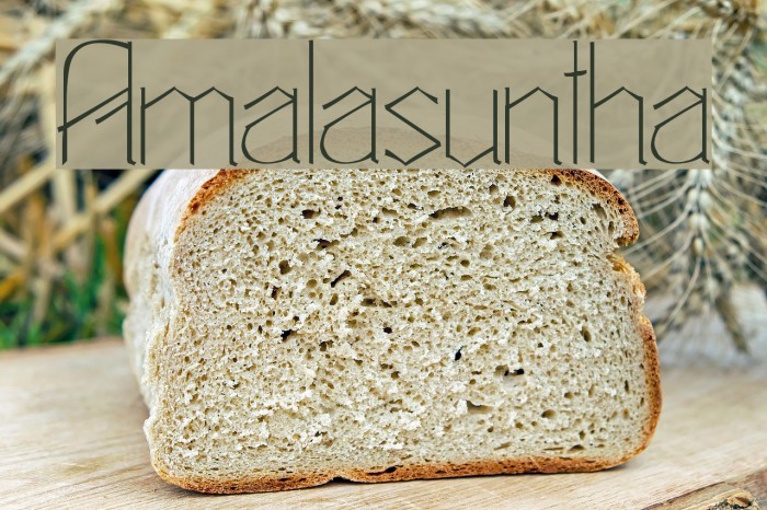 Amalasuntha Font examples