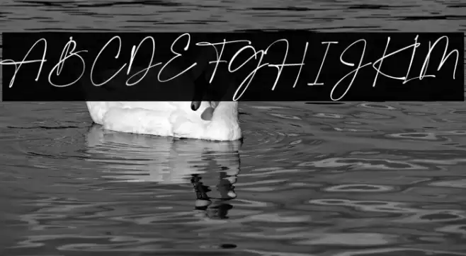 Amalfi Coast Font examples