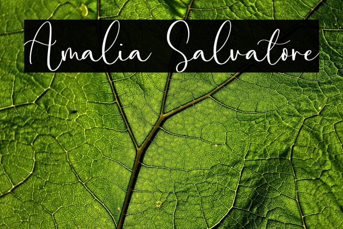 Amalia Salvatore Example 2