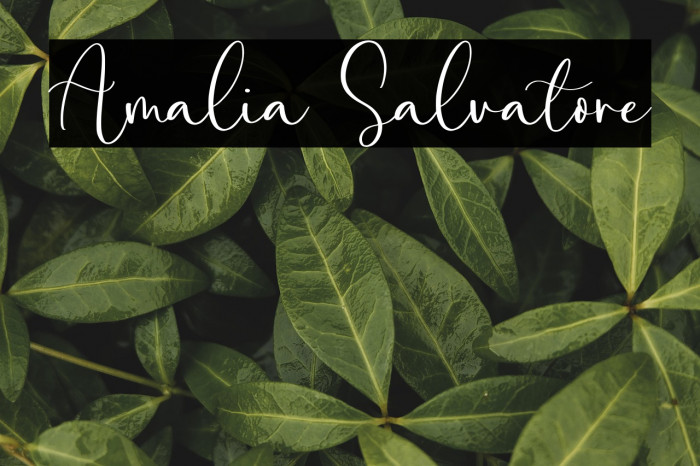Amalia Salvatore Example 3