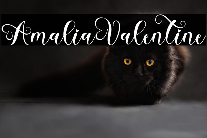 Amalia Valentine Example 1