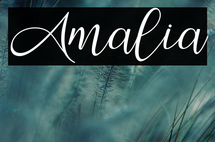 Amalia Example 1