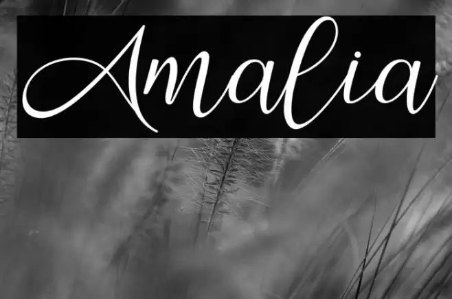 Amalia Font examples