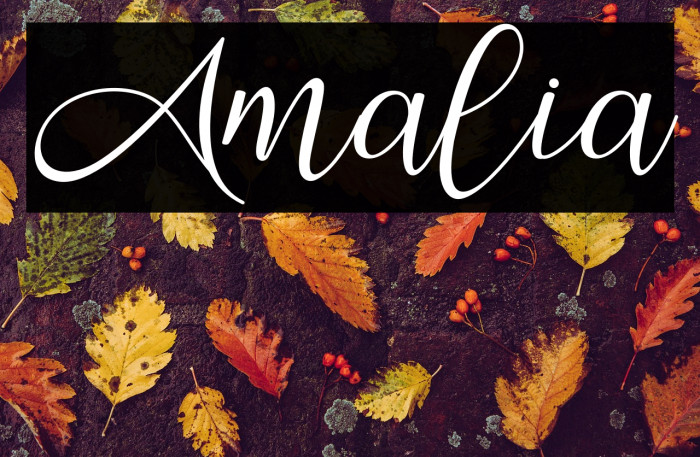 Amalia Example 3
