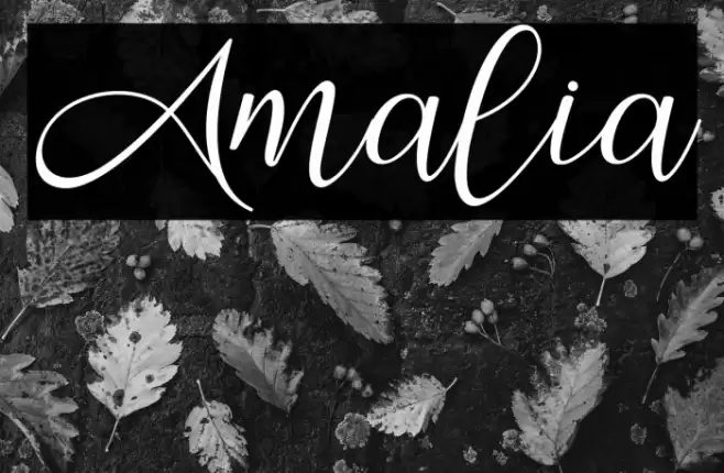 Amalia Font examples