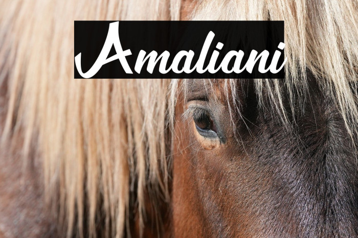 Amaliani Example 3