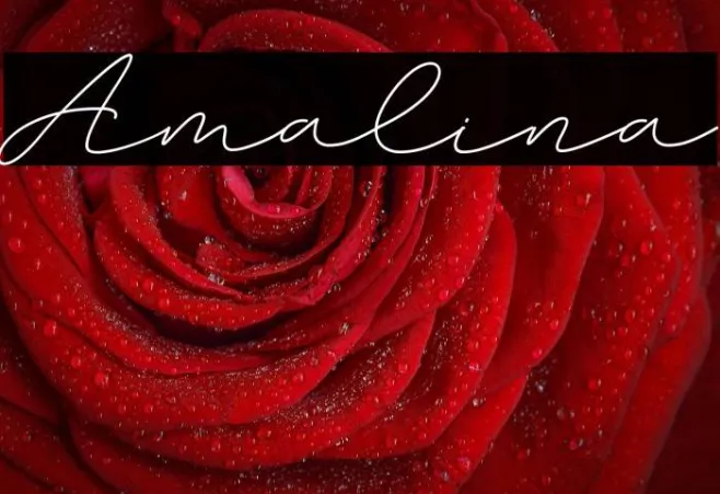 Amalina Example 1