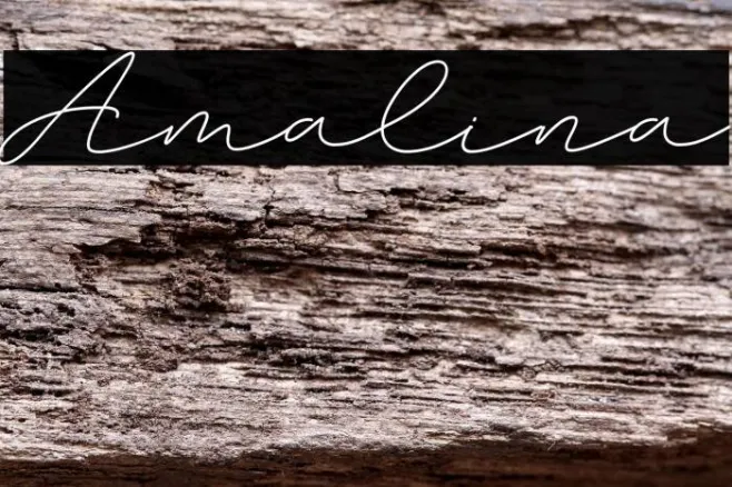 Amalina Example 2