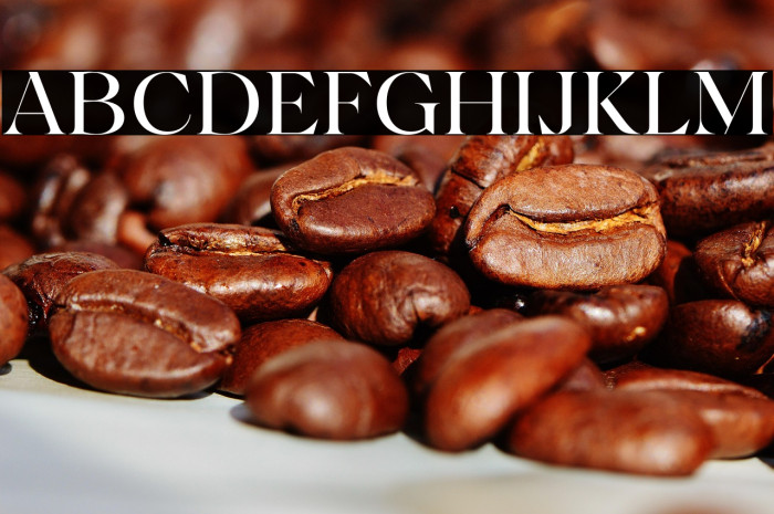 AmalineTrial-Regular Example 1