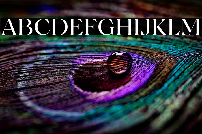 AmalineTrial-Regular Example 2