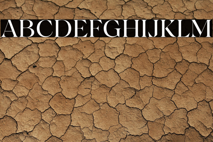 AmalineTrial-Regular Example 3