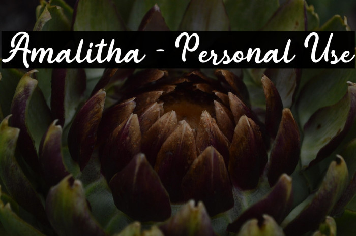 Amalitha - Personal Use Example 1