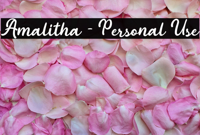 Amalitha - Personal Use Example 2