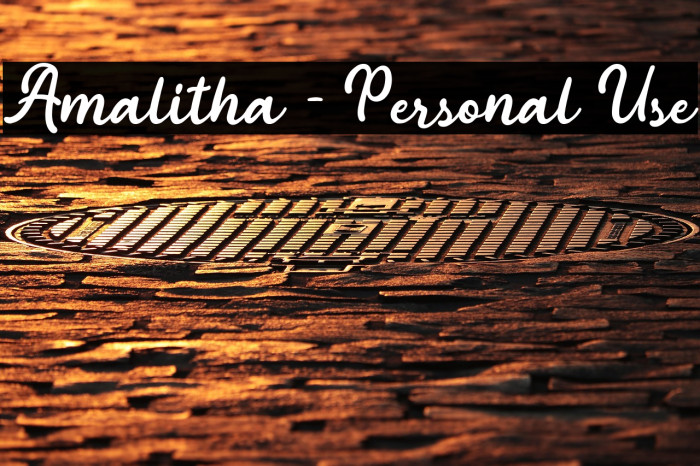 Amalitha - Personal Use Example 3