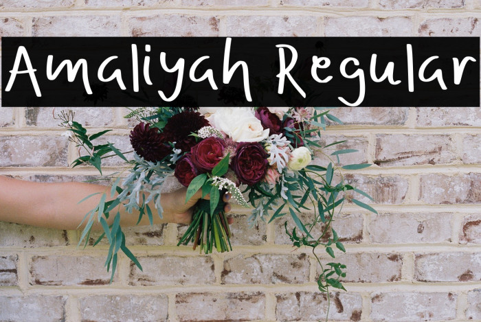 Amaliyah Regular Example 3