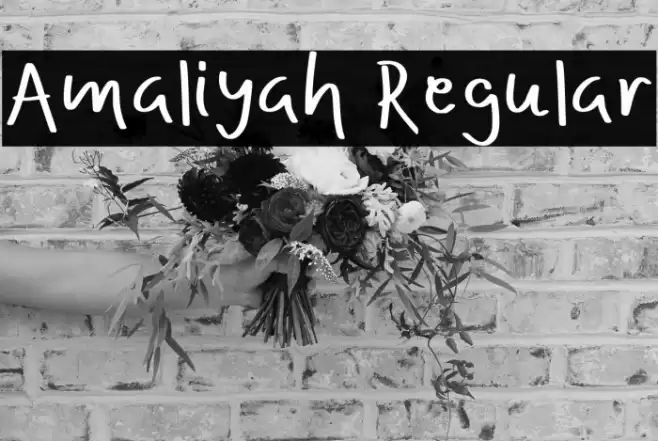 Amaliyah Regular Font examples